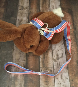 American Flag Sippy / Bottle / Toy Leash